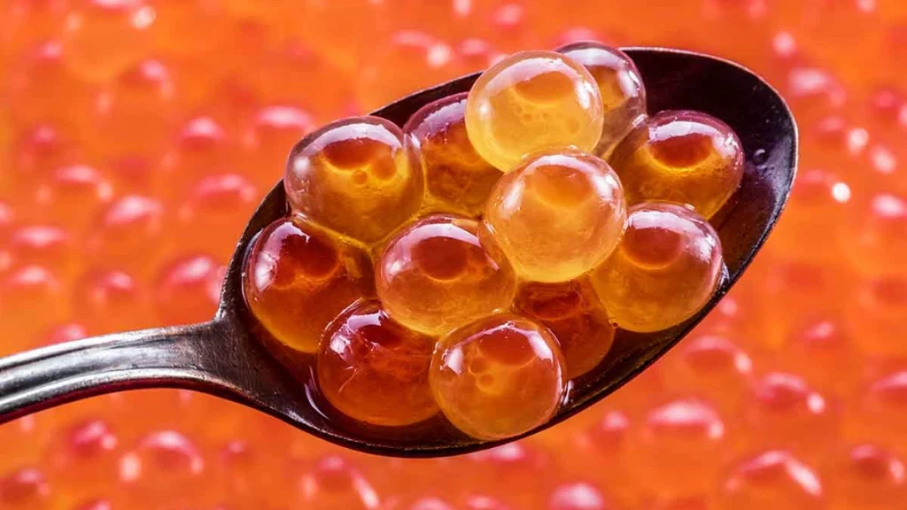 أفضل طعم لصيد السمك في العراق 11 بيض سمك السلمون