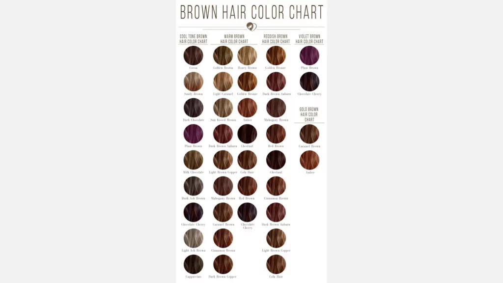 أفضل 8 أنواع صبغ الشعر في العراق 14 درجات صبغات الشعر البني