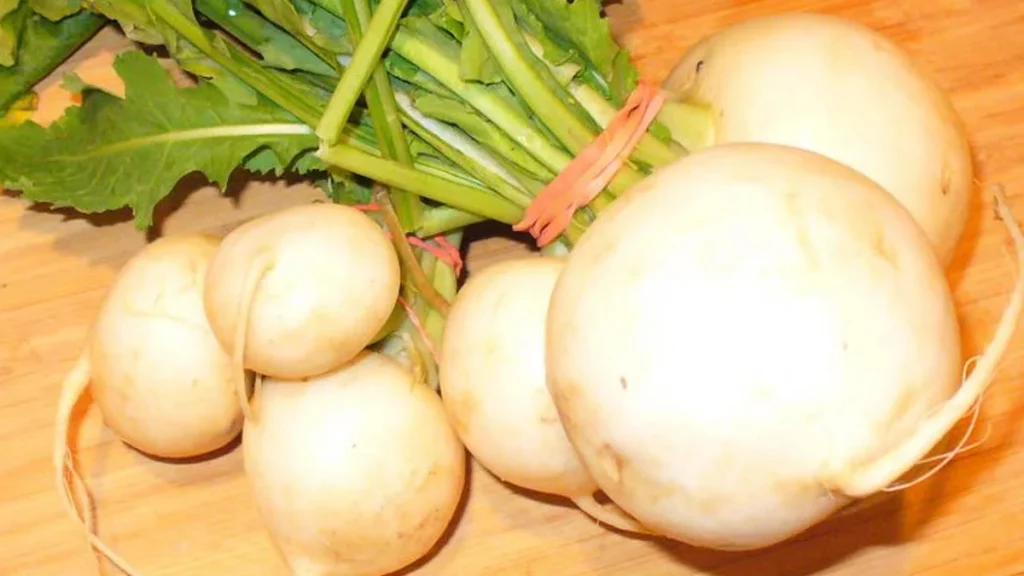 ما هي فوائد الشلغم العراقي؟ 3 أهم فوائد الشلغم لصحة جسم الإنسان