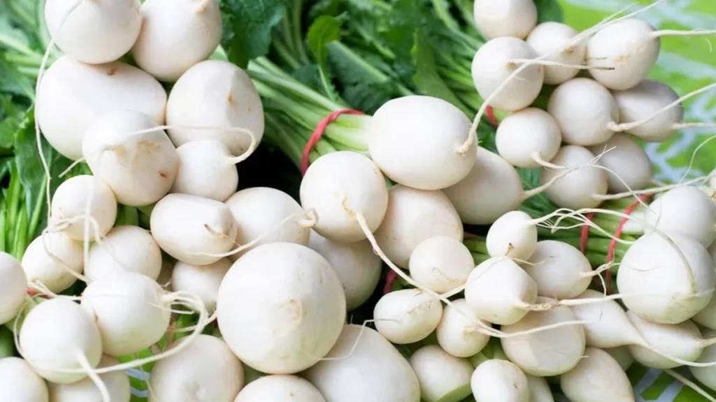 ما هي فوائد الشلغم العراقي؟ 4 أهم فوائد الشلغم للمرأة الحامل